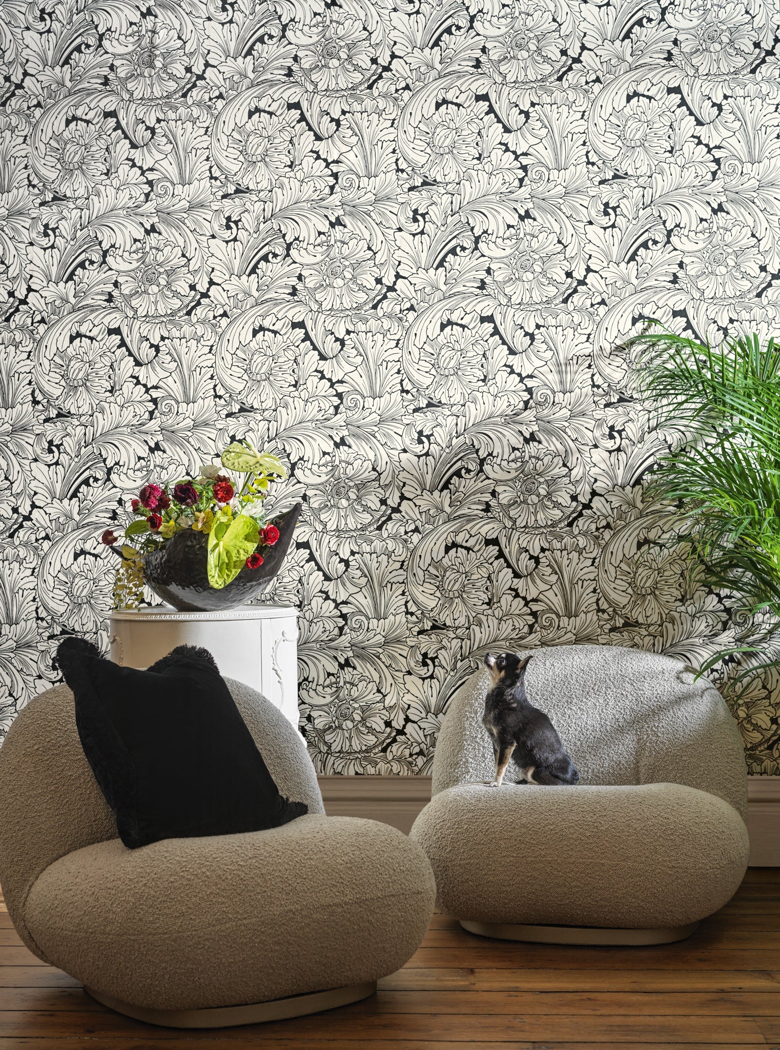 Cole & Son Acanthus - interior