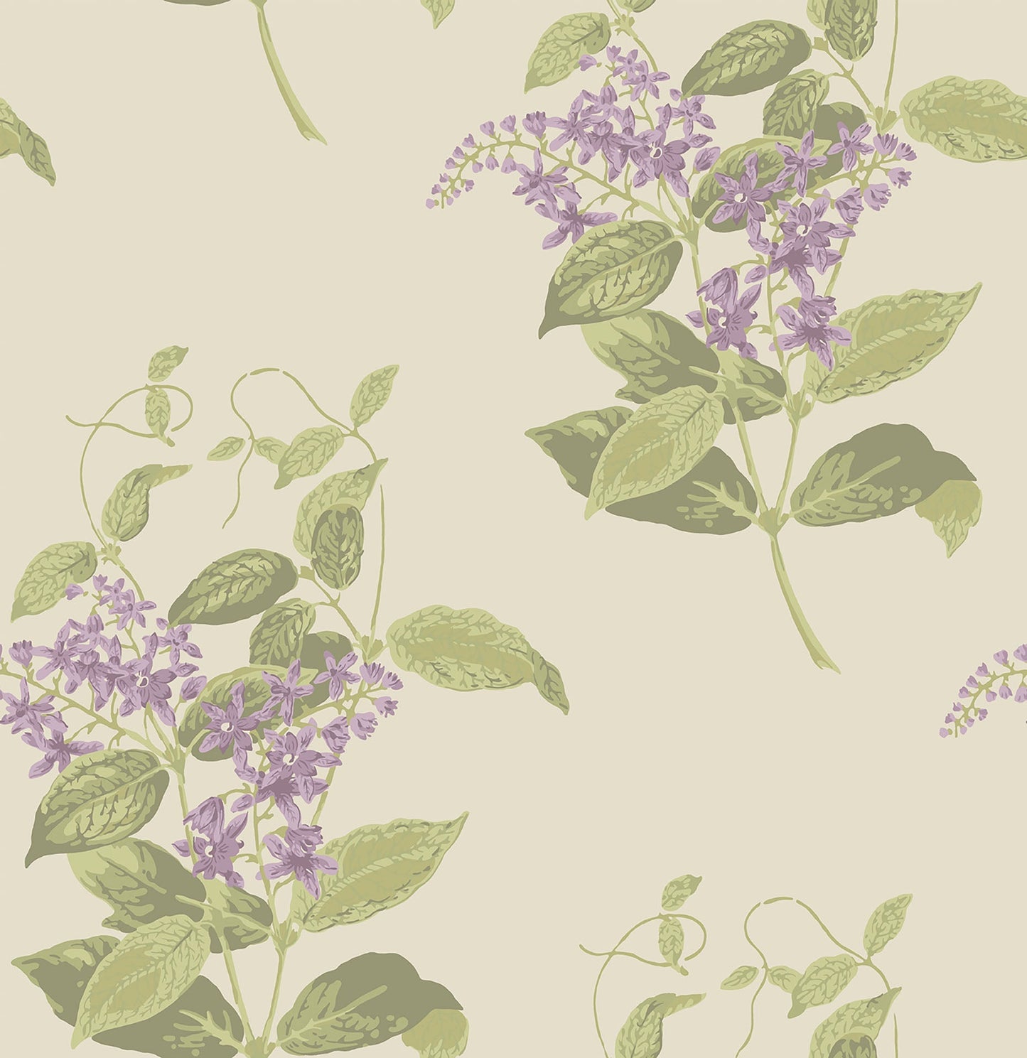 Cole & Son Madras Violet wallpaper - Purple & Olive on Cream