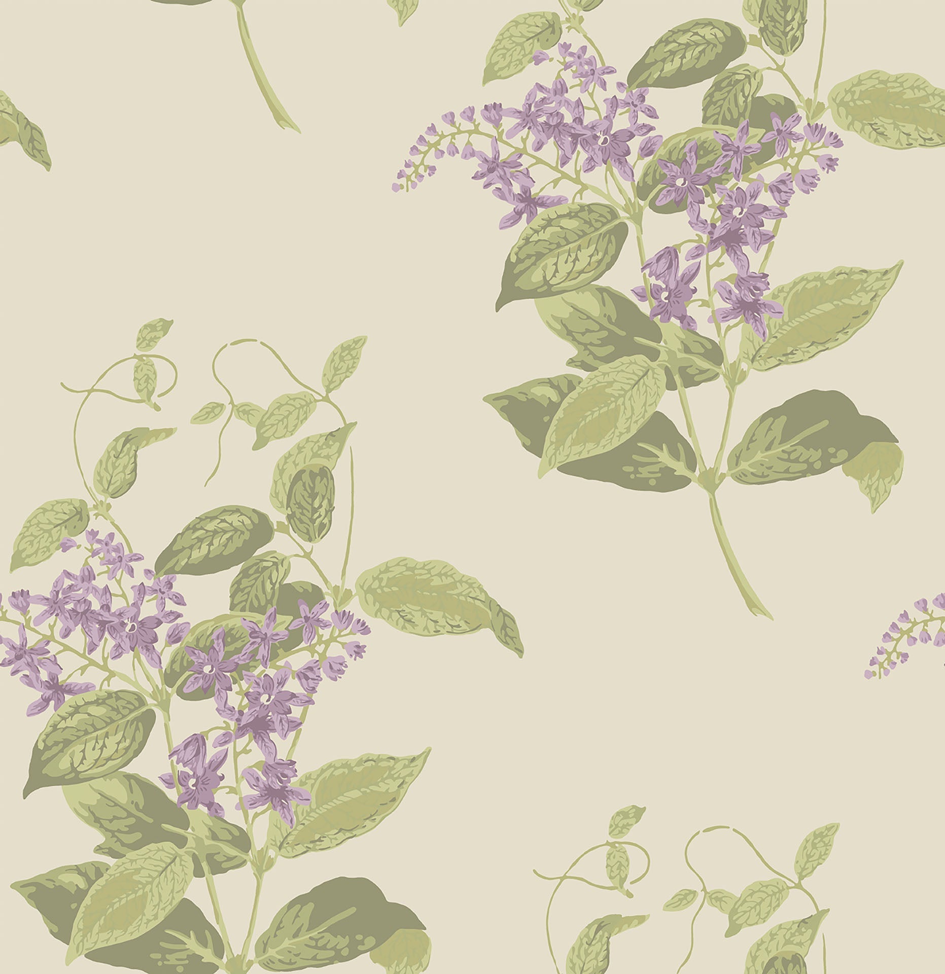 Cole & Son Madras Violet wallpaper - Purple & Olive on Cream