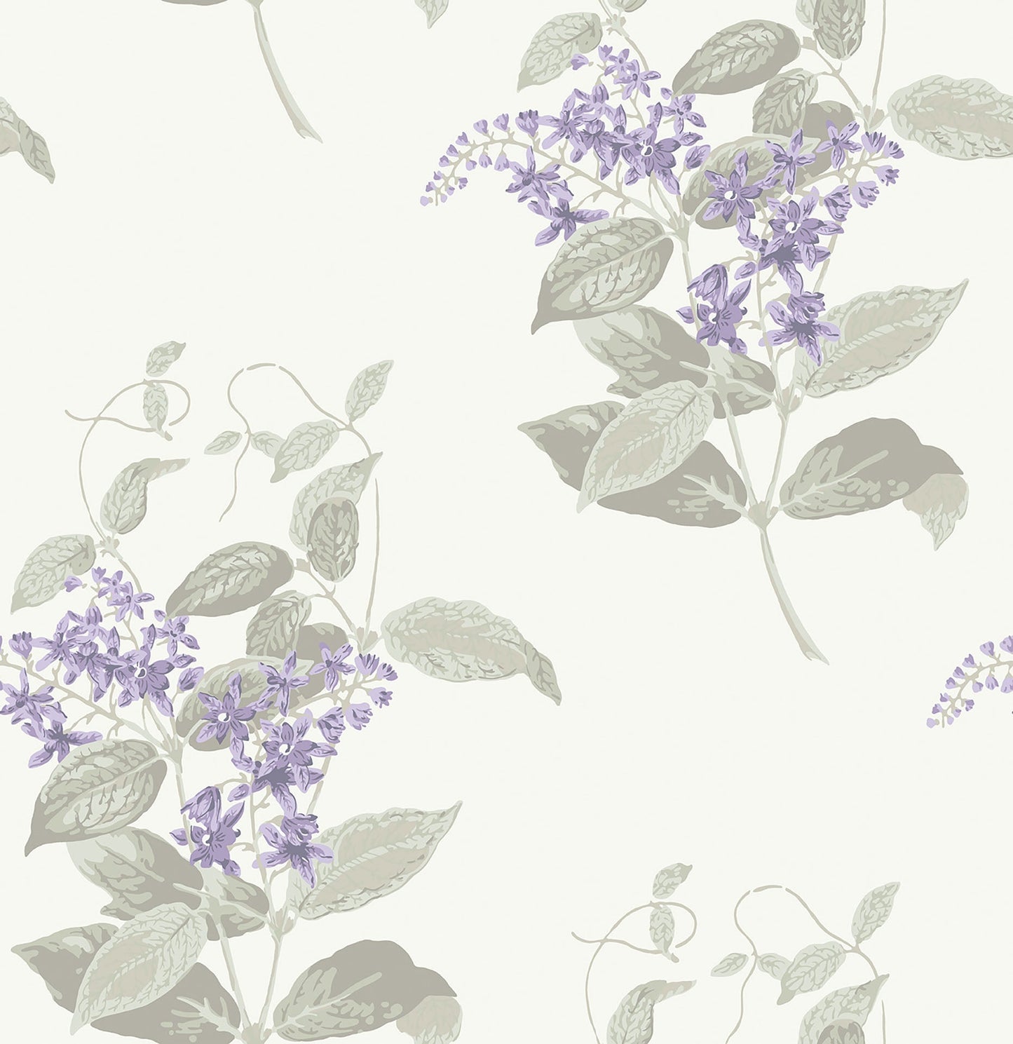Cole & Son Madras Violet - Lilac & Stone on Chalk