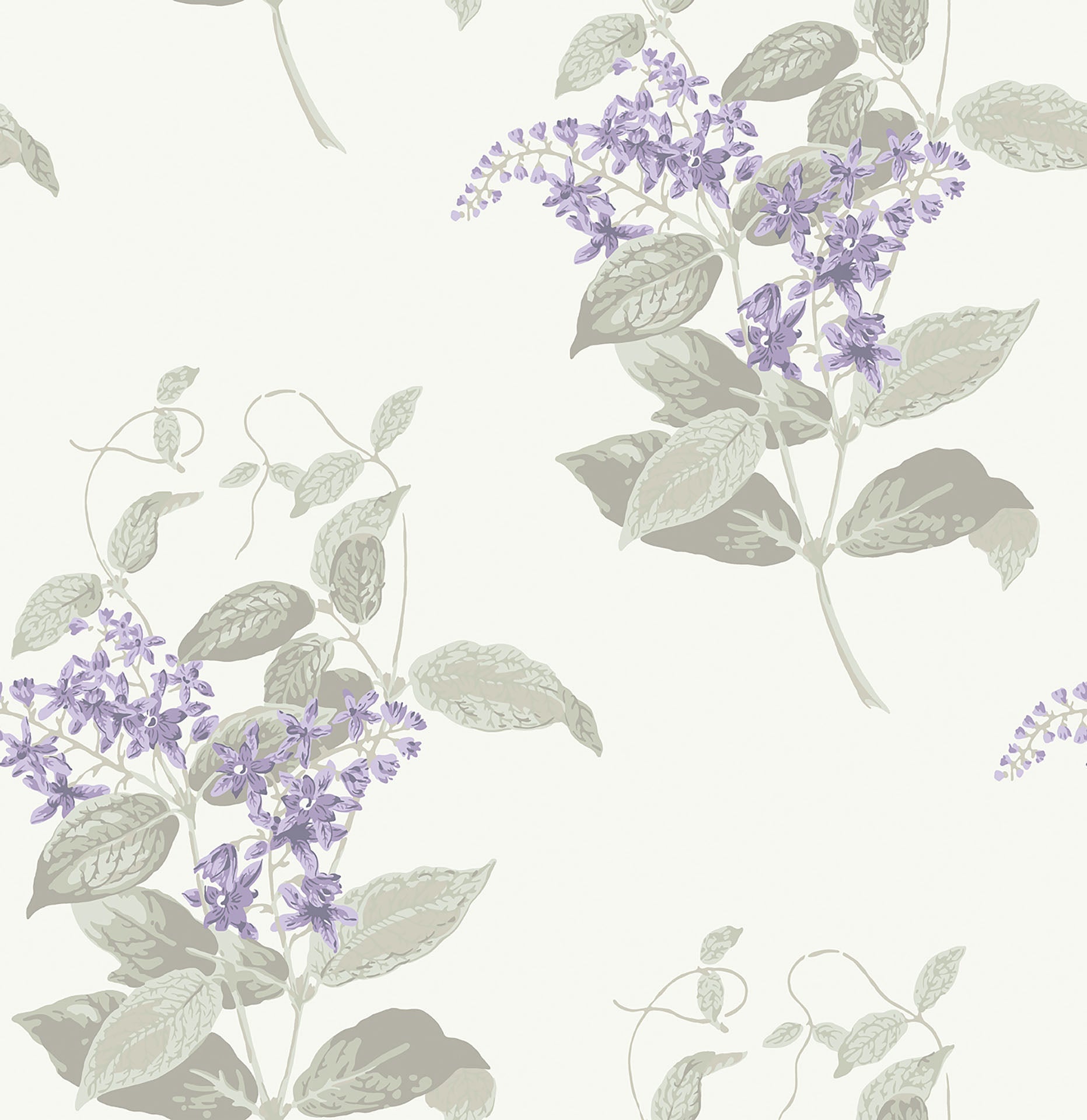 Cole & Son Madras Violet - Lilac & Stone on Chalk