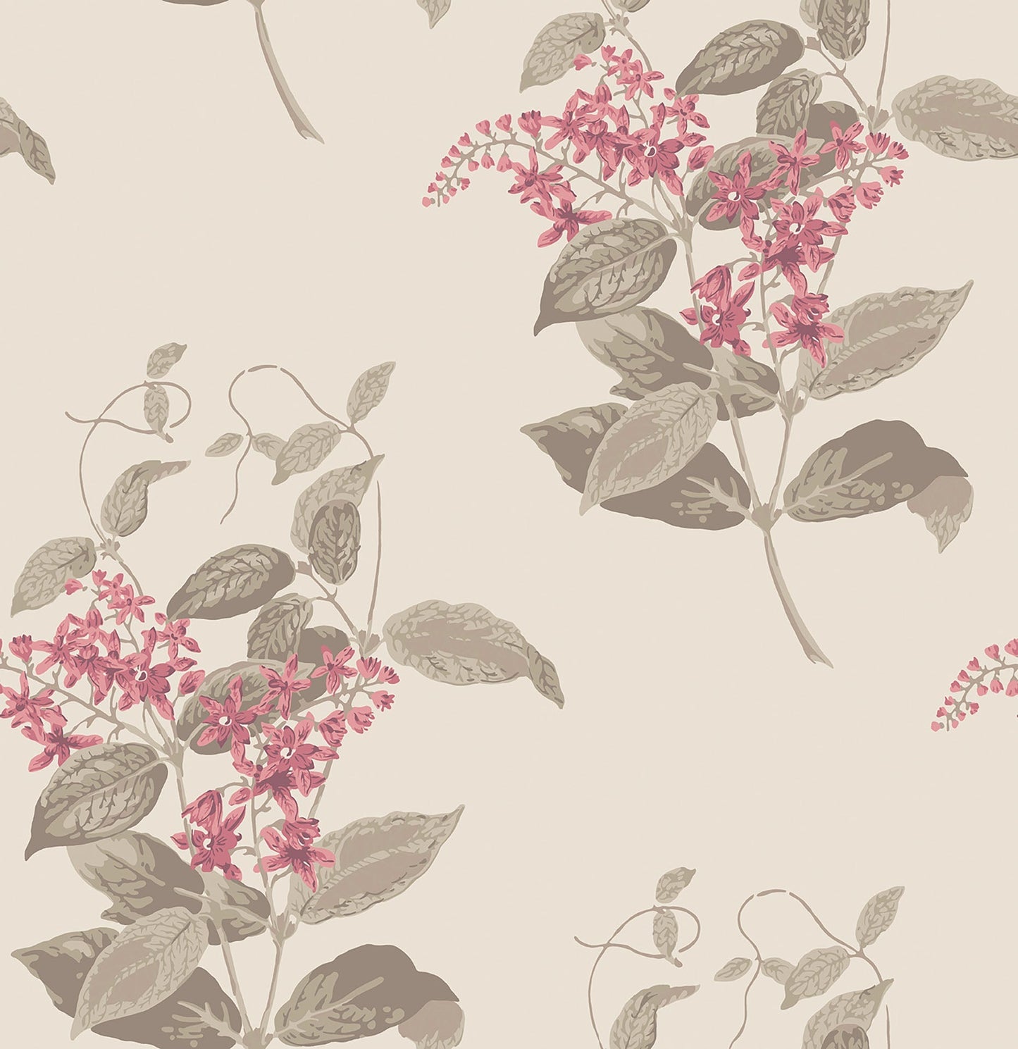 Cole & Son Madras Violet - Fuchsia & Linen on Parchment