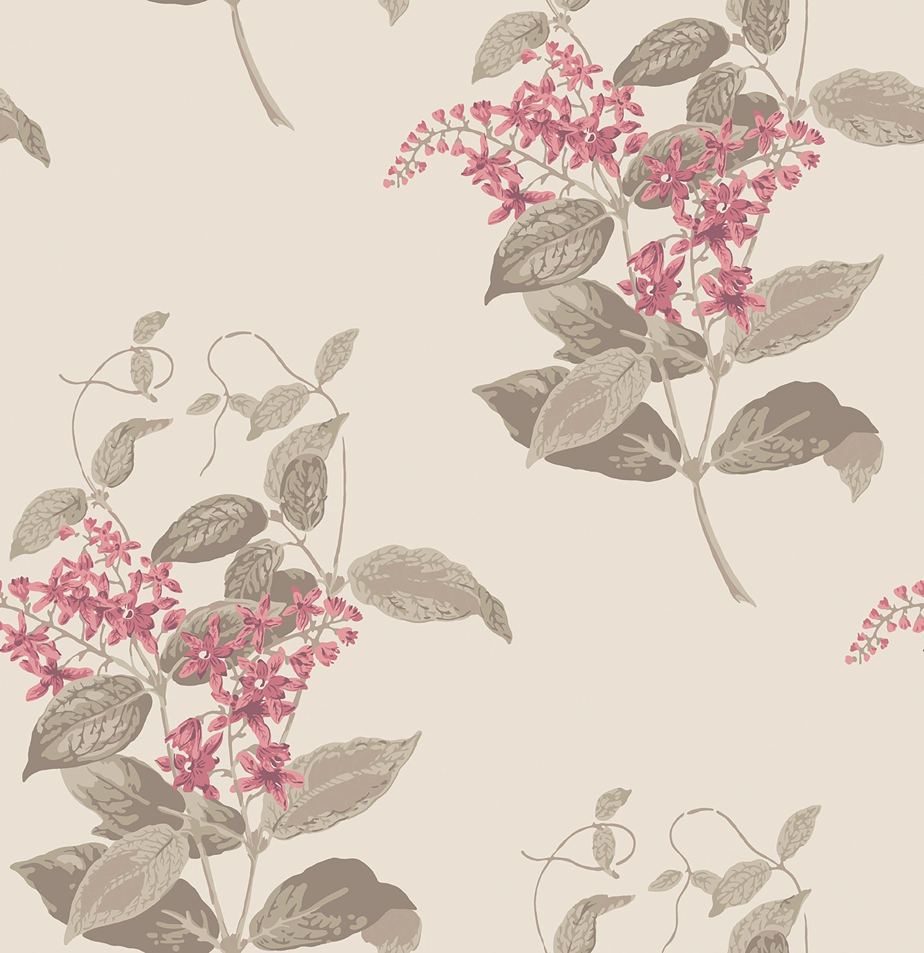 Cole & Son Madras Violet - Fuchsia & Linen on Parchment
