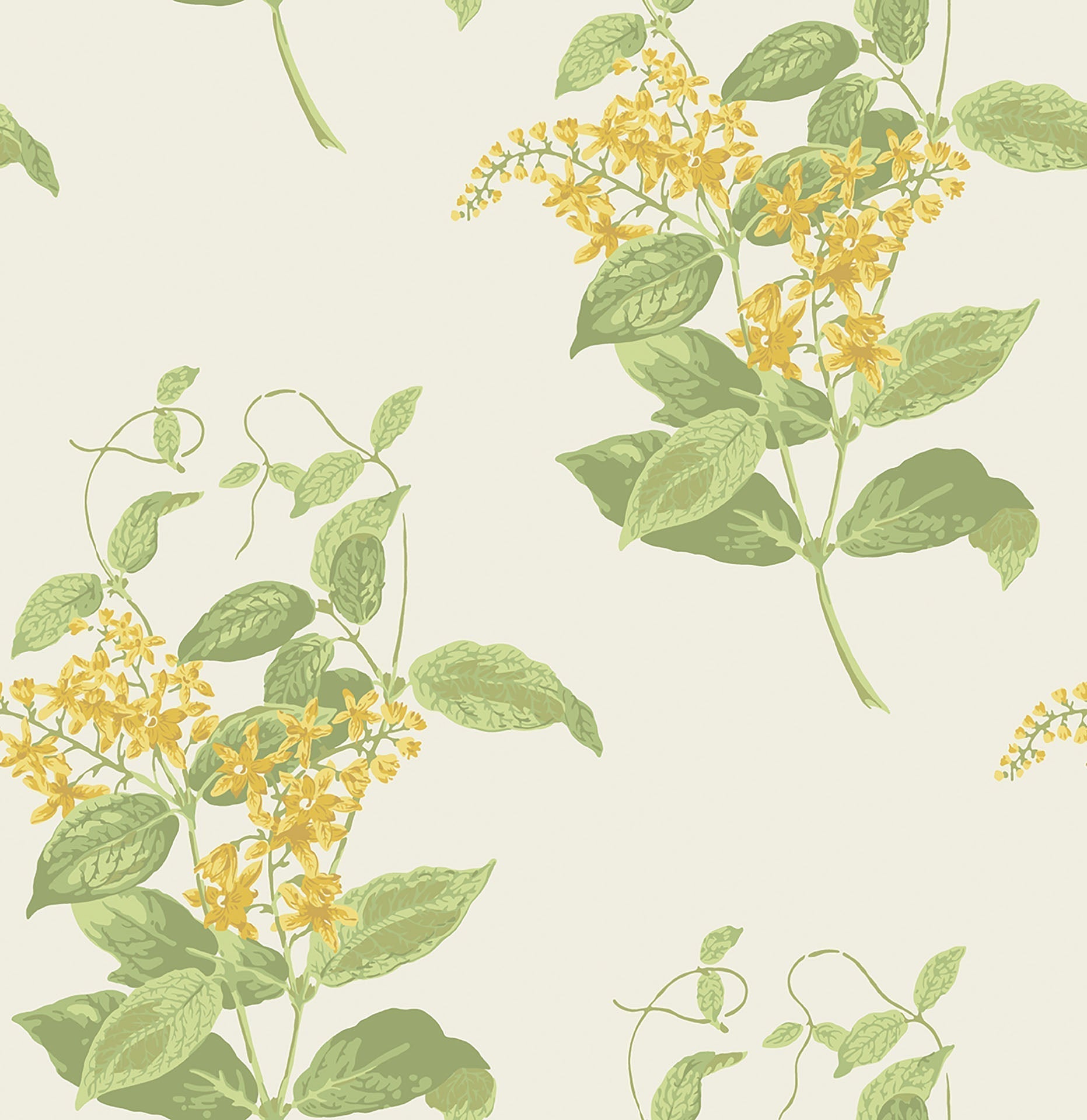 Cole & Son Madras Violet - Yellow & Linen on Parchment