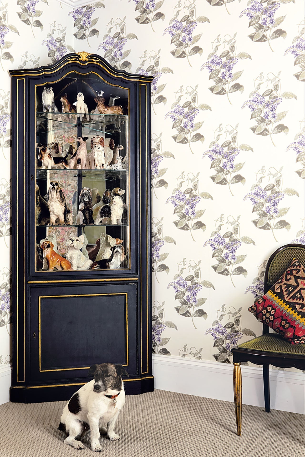 Cole & Son Madras Violet - interior