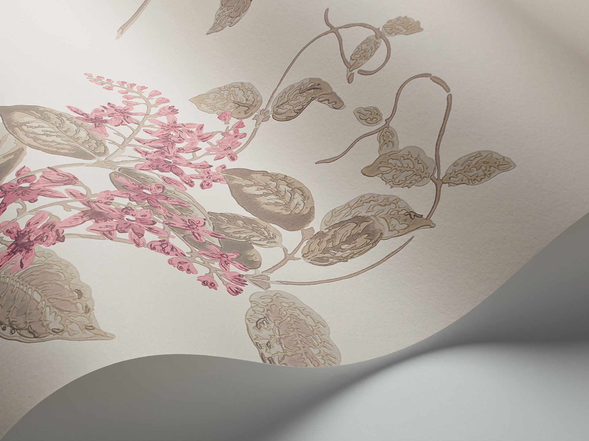 Cole & Son Madras Violet - interior
