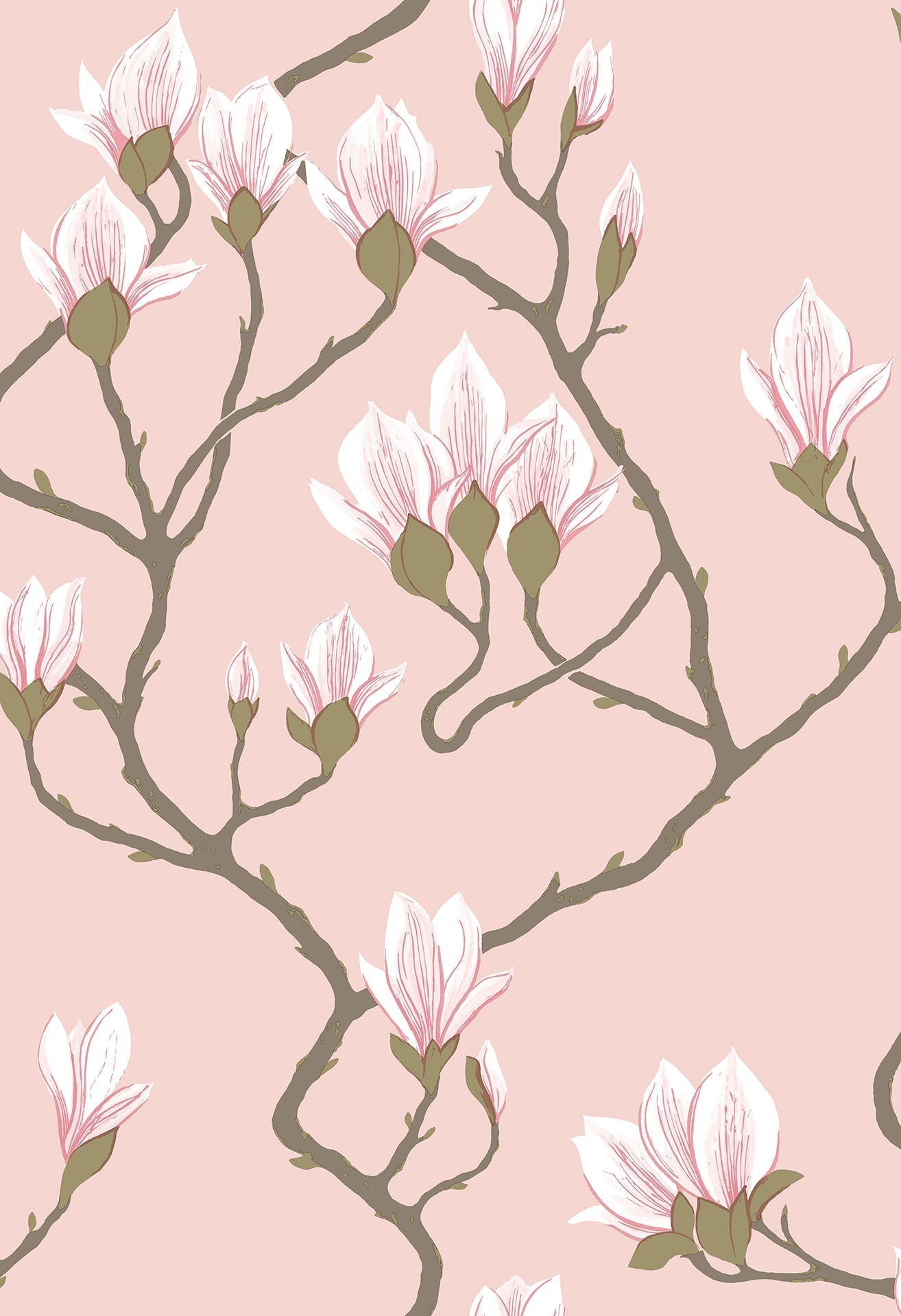 Cole & Son Magnolia - Rose on Blush