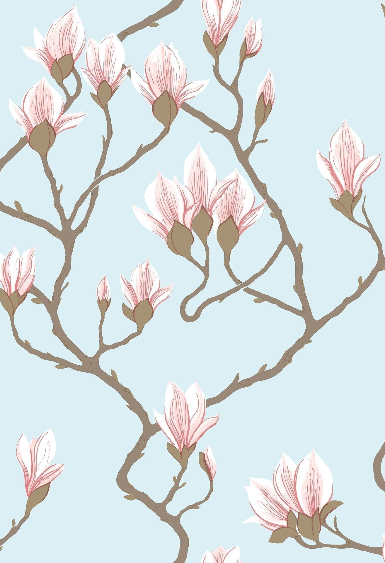 Cole & Son Magnolia - Rose on Sky Blue