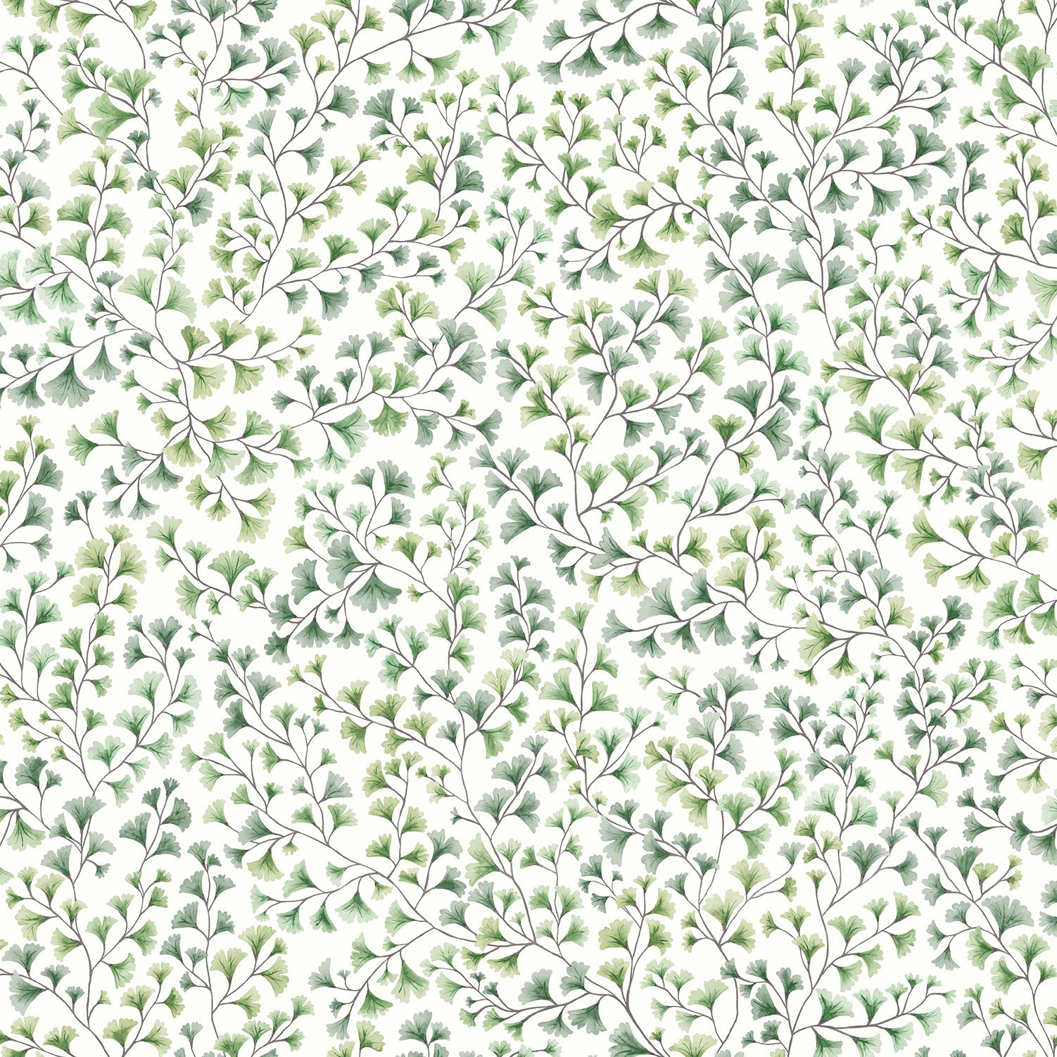 Cole & Son Maidenhair - Olive Green