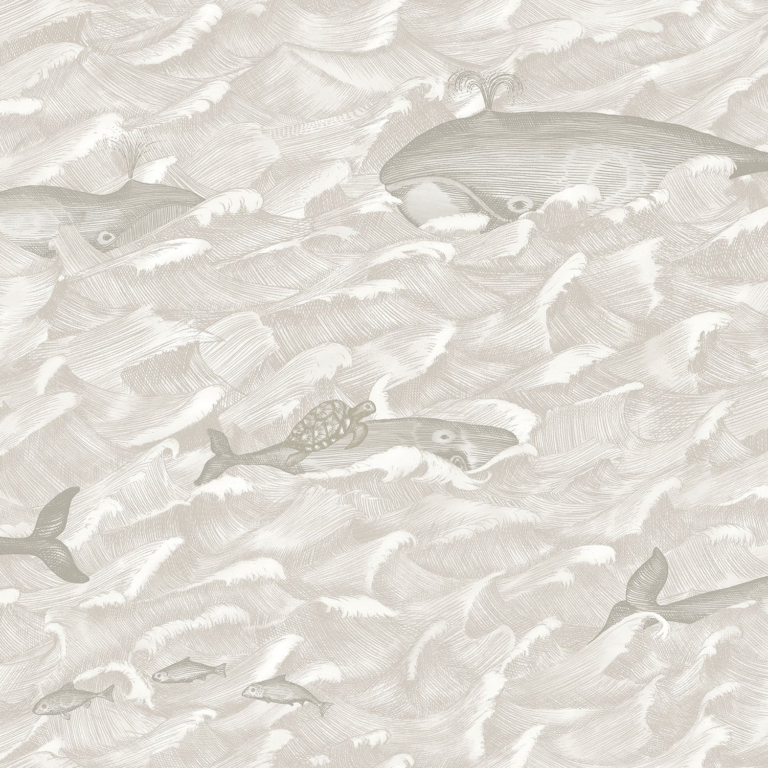 Cole & Son Melville - Stone & Chalk