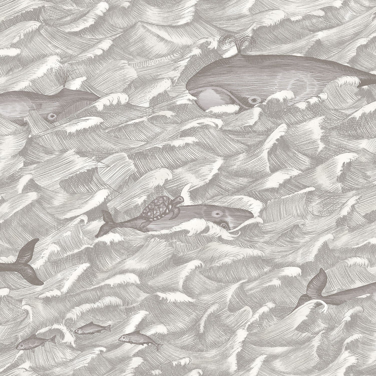 Cole & Son Melville - Soot & Snow