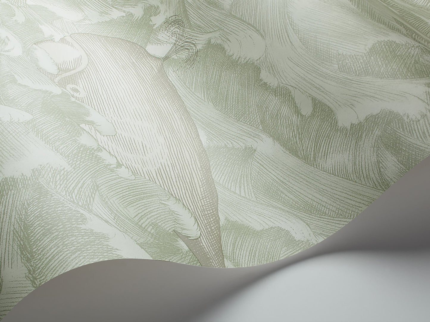 Cole & Son Melville - interior
