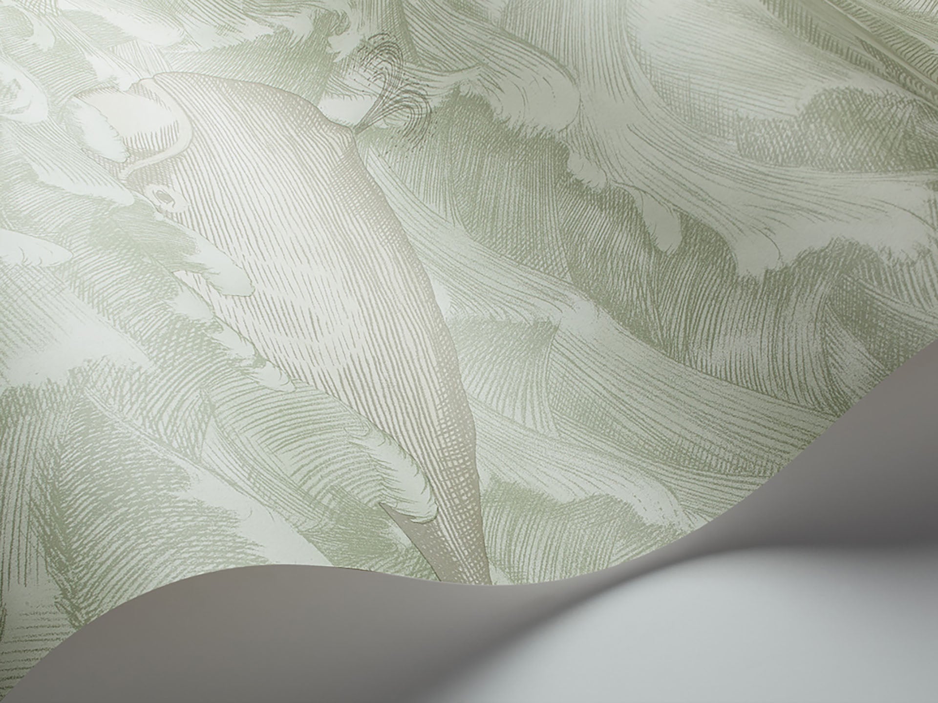 Cole & Son Melville - interior