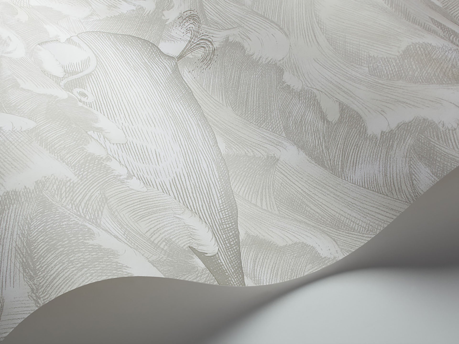 Cole & Son Melville - interior