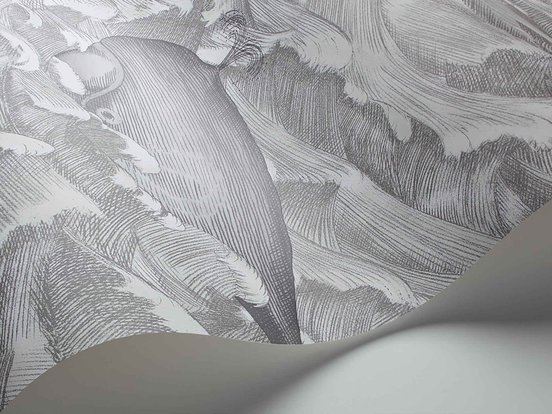 Cole & Son Melville - interior