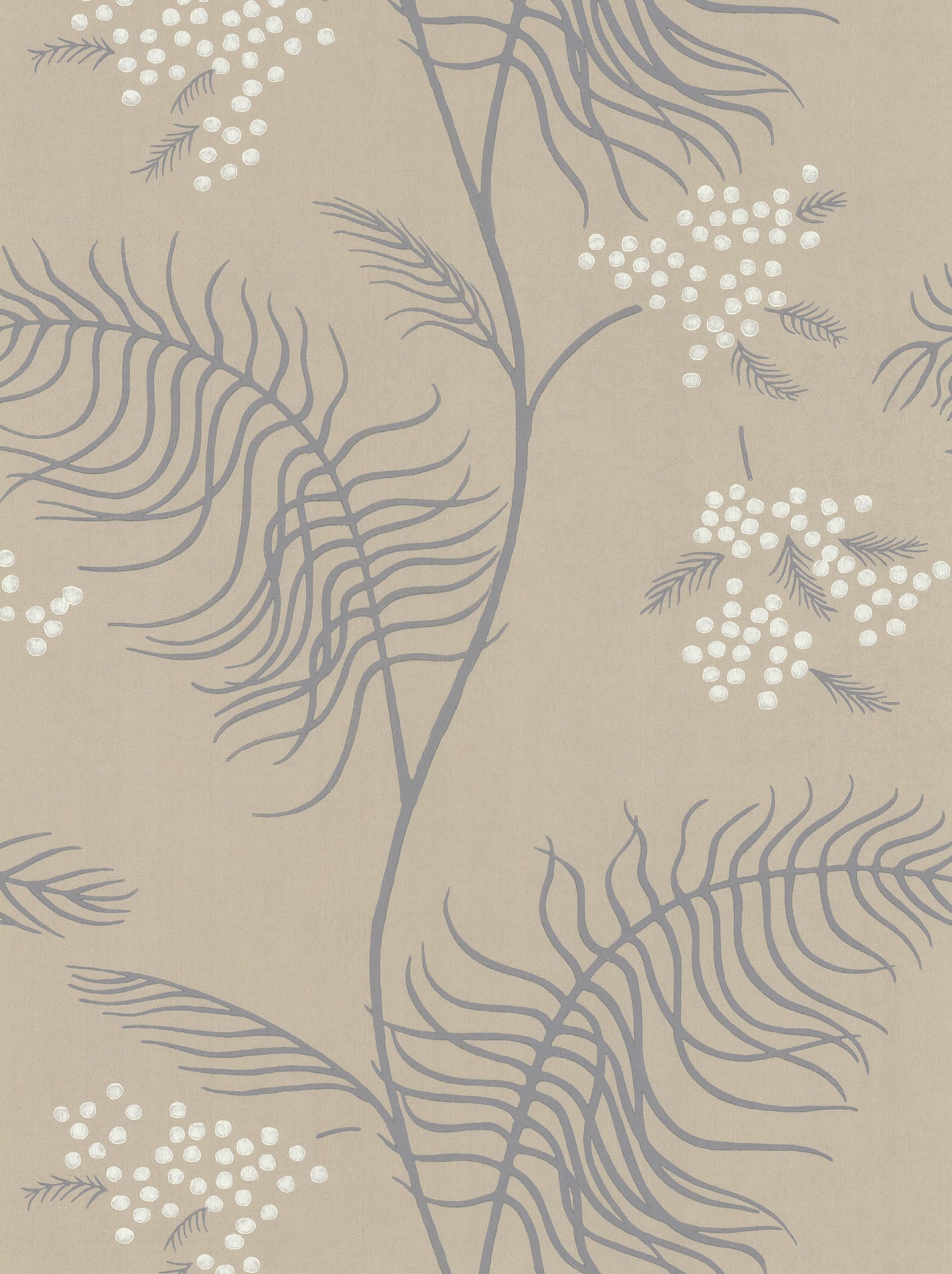 Cole & Son Mimosa - Chalk & Lilac Grey on Safari