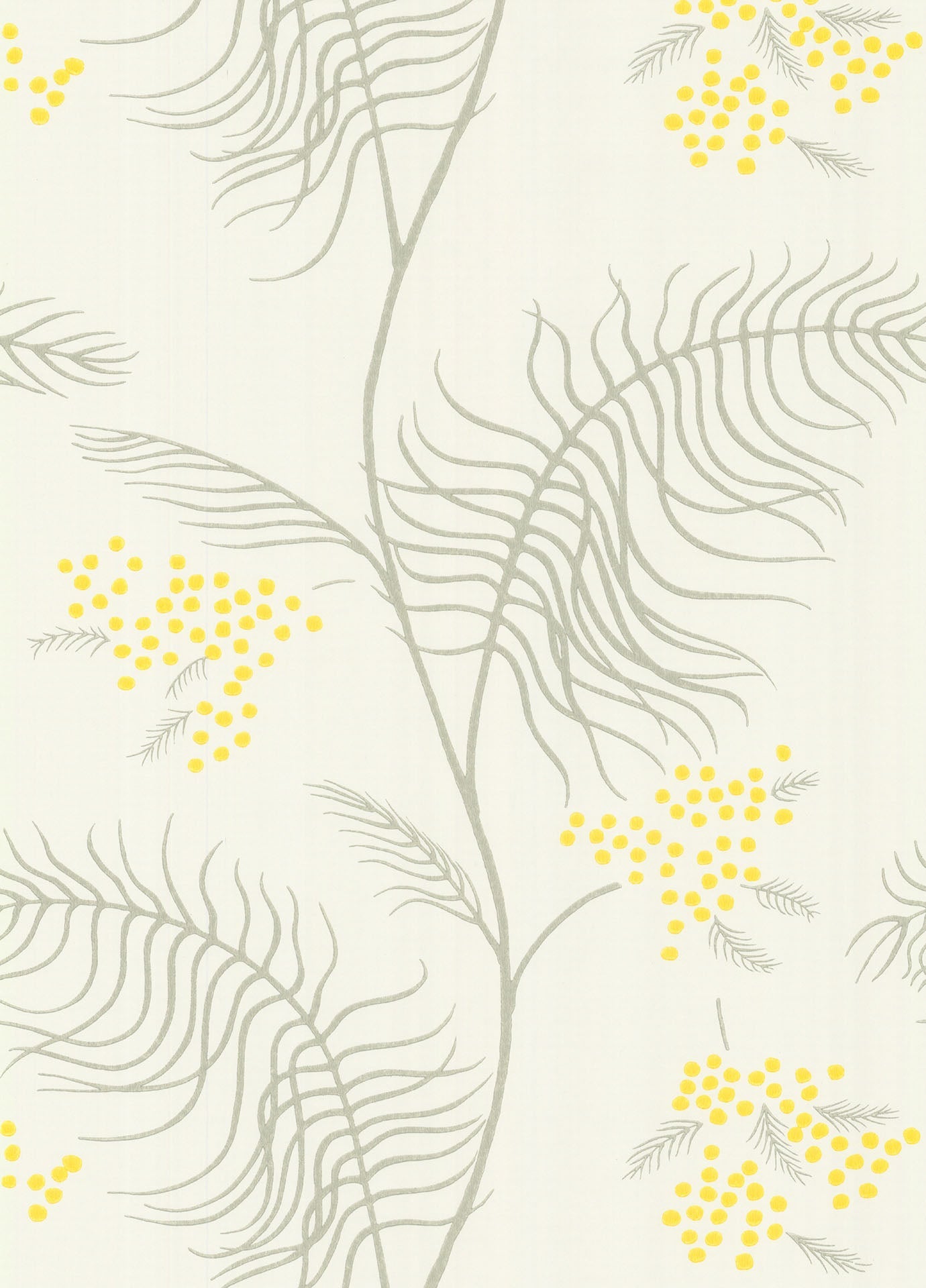 Cole & Son Mimosa - Canary Yellow & Soft Olive on Parchment
