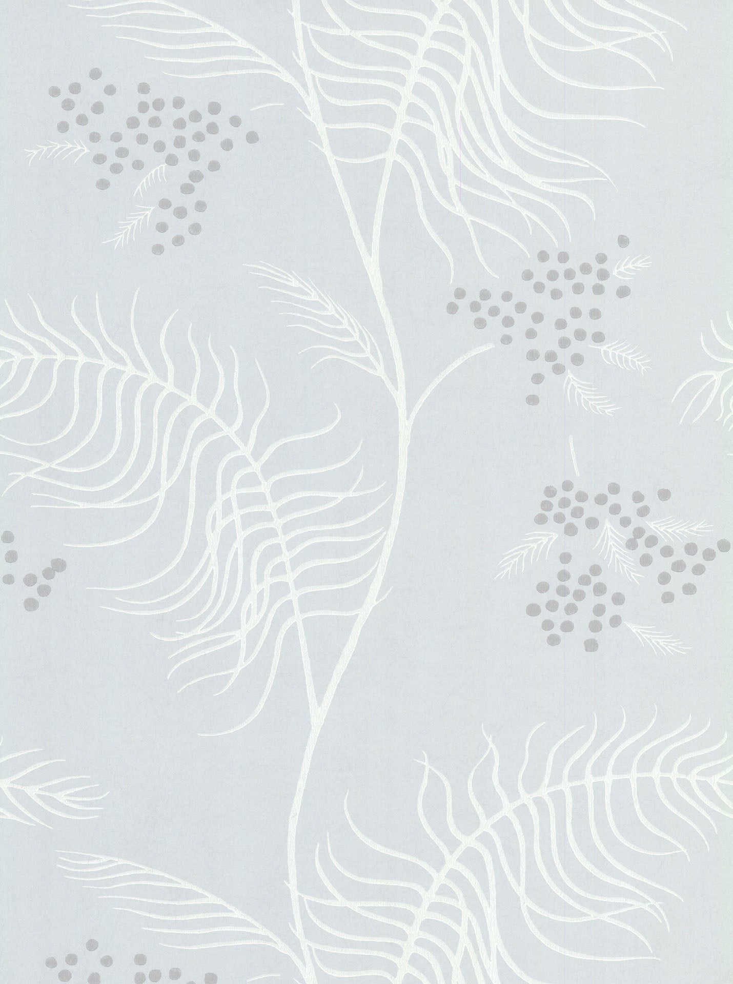 Cole & Son Mimosa - Grey & White on Silver Birch