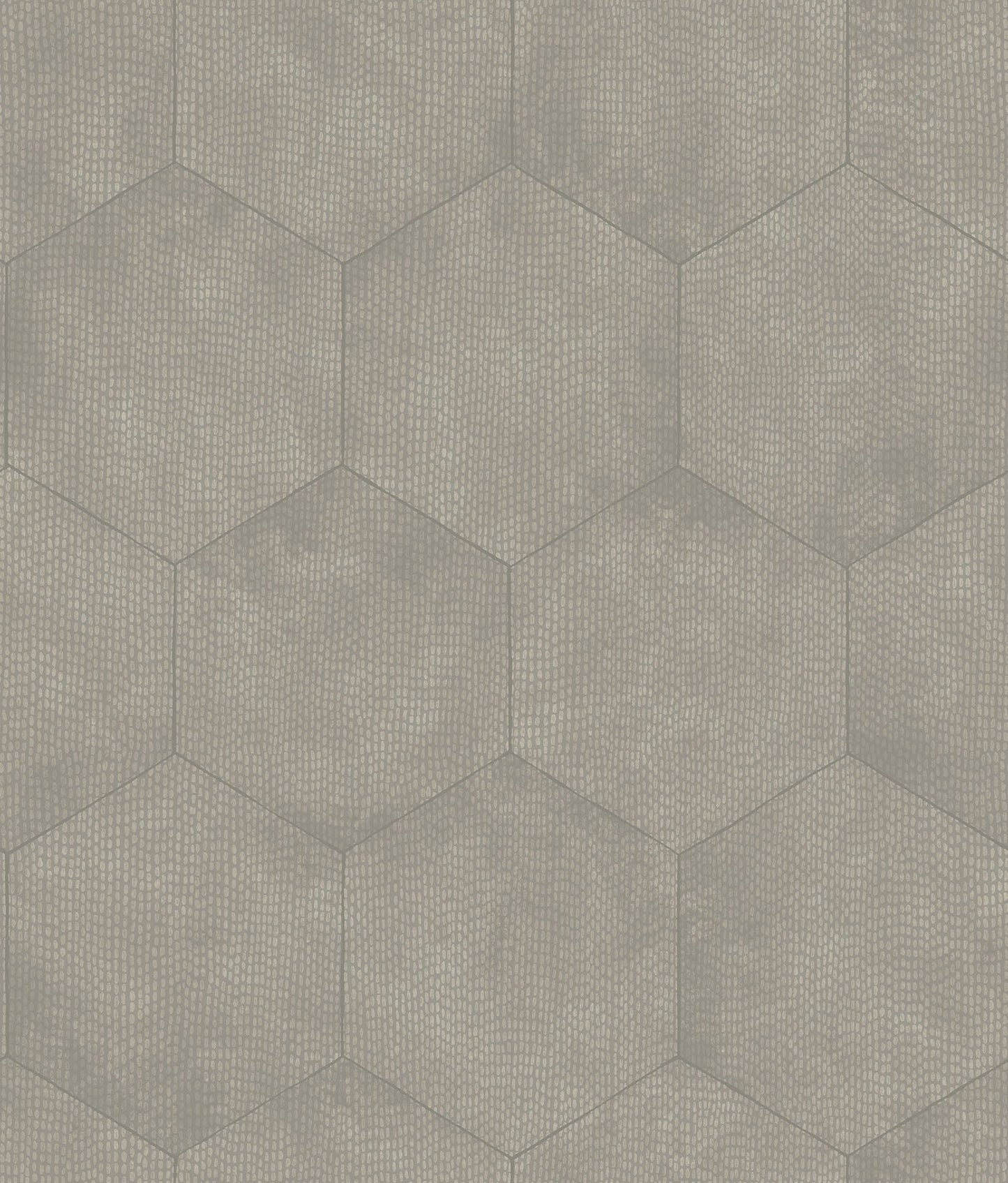 Cole & Son Mineral - Metallic Silver on Grey