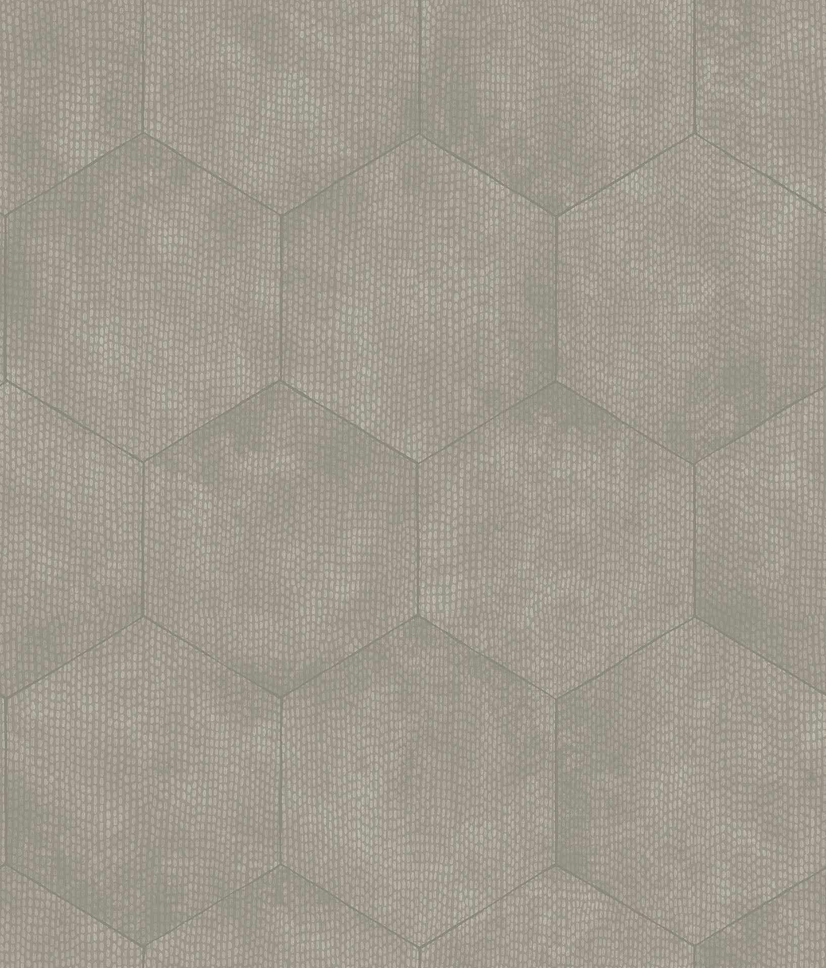 Cole & Son Mineral - Metallic Silver on Grey