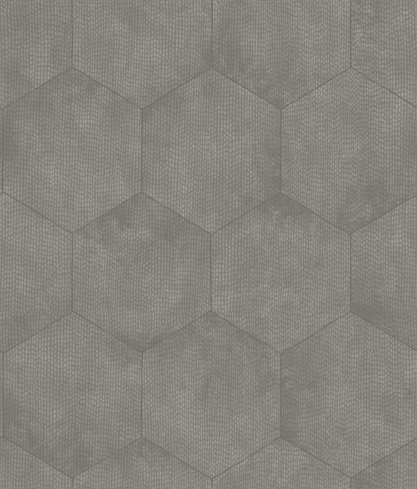 Cole & Son Mineral - Metallic Silver on Elephant Grey