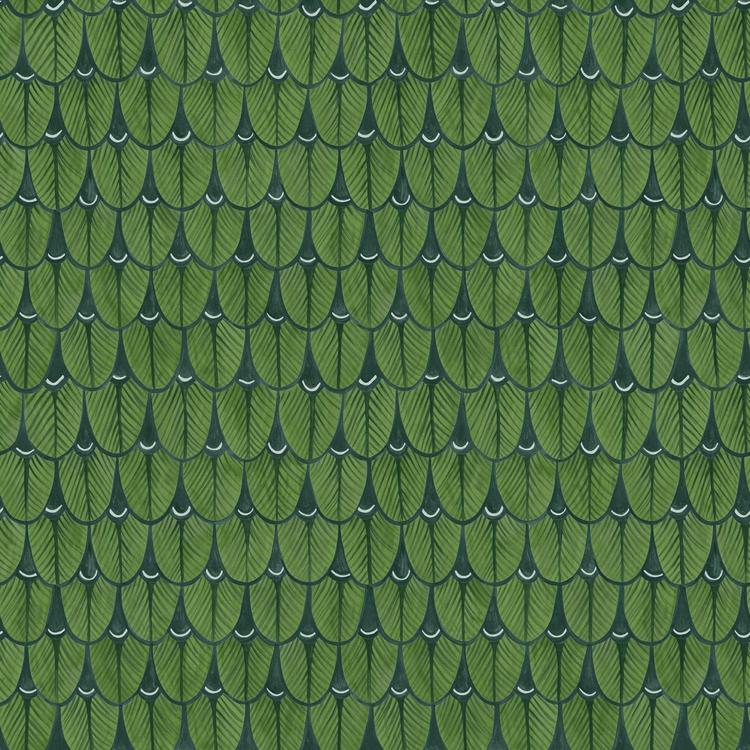 Cole & Son Narina wallpaper - Leaf Green