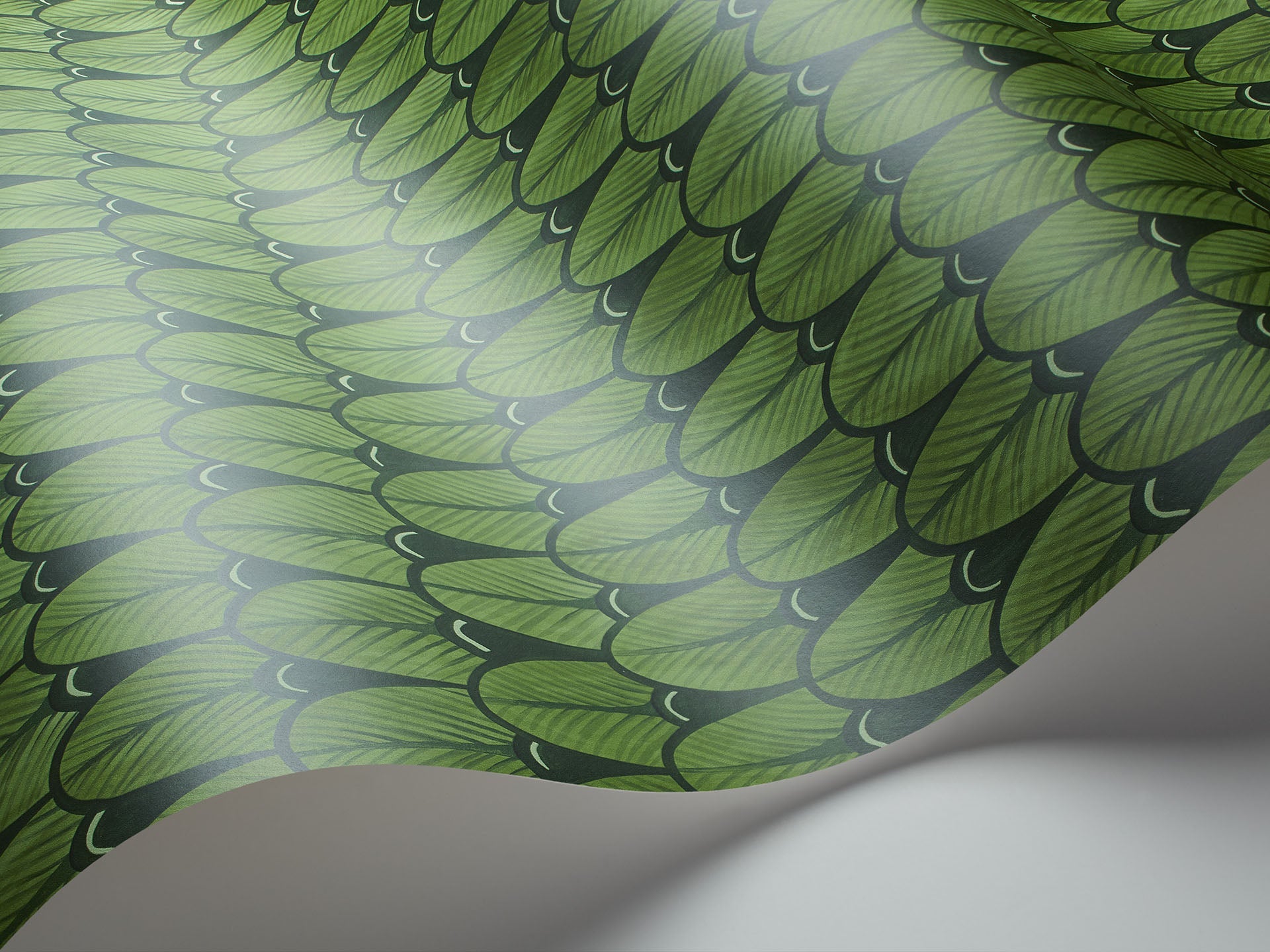 Cole & Son Narina - interior