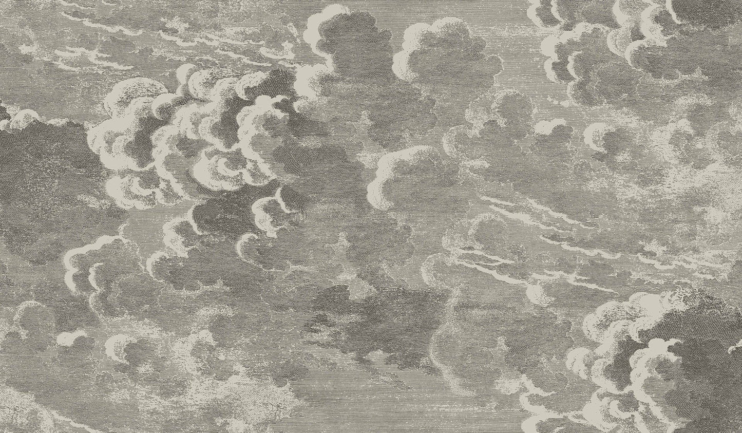Cole & Son Nuvolette (2 roll set) wallpaper - Metallic Gilver & Charcoal