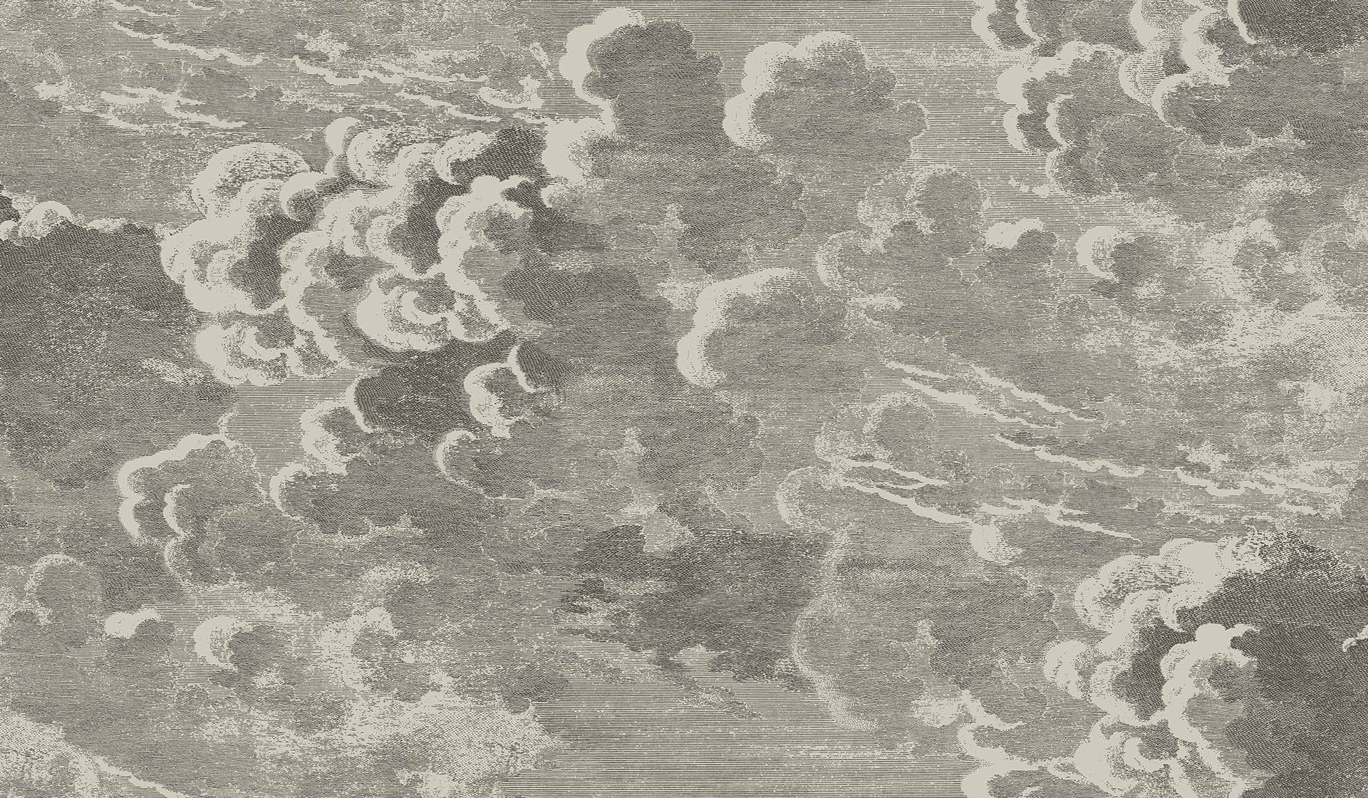 Cole & Son Nuvolette (2 roll set) wallpaper - Metallic Gilver & Charcoal
