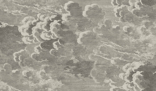 Cole & Son Nuvolette (2 roll set) wallpaper - Metallic Gilver & Charcoal