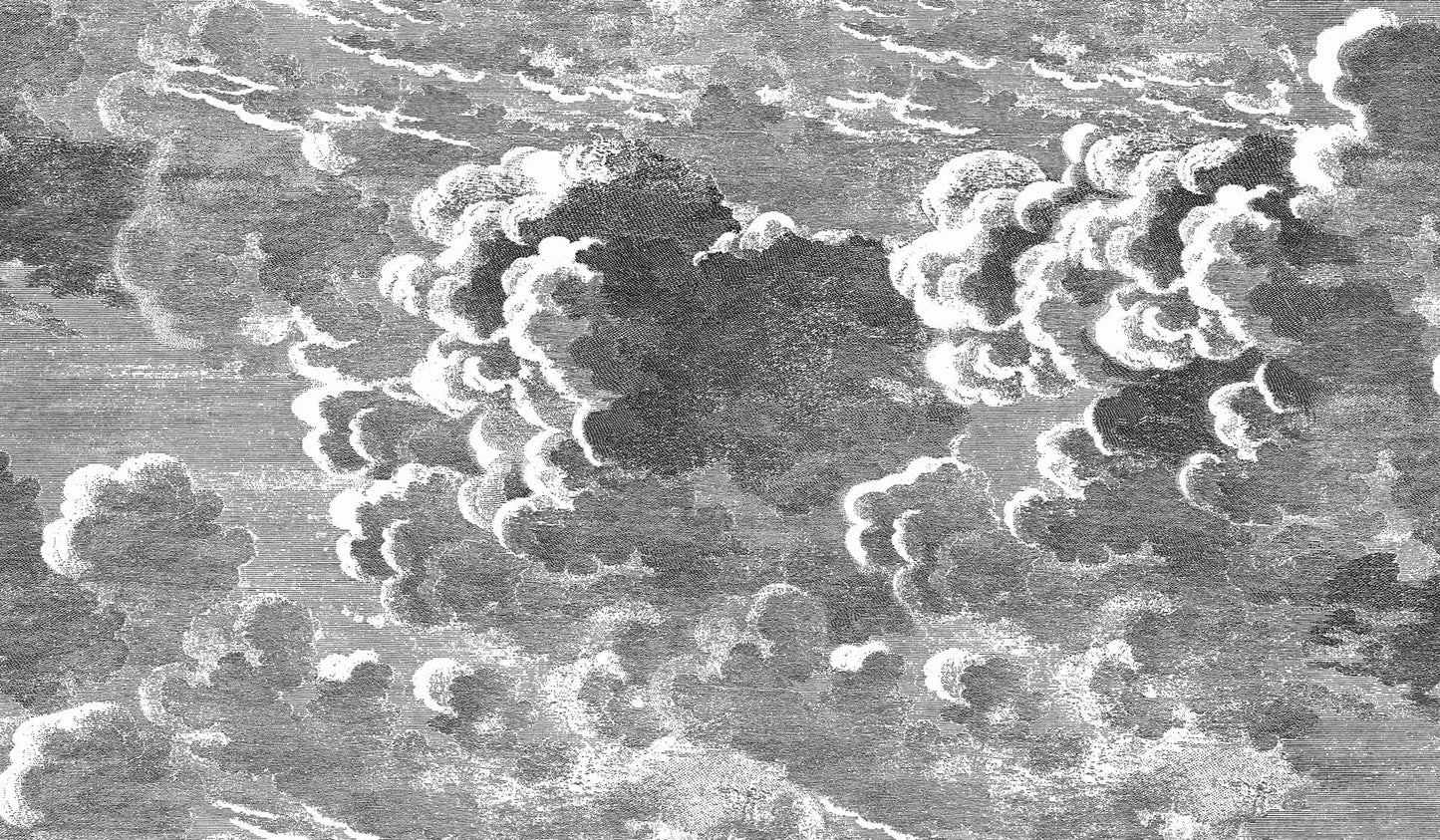 Cole & Son Nuvolette (2 roll set) - Black & White