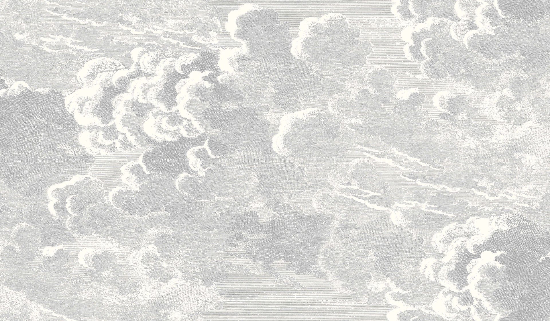 Cole & Son Nuvolette (2 roll set) - Soot & Snow