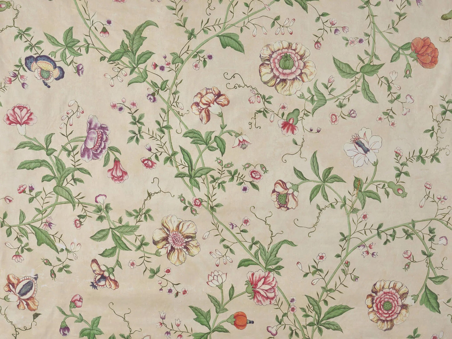 Pierre Frey Le Paravent Chinois Chintz - Tilleul