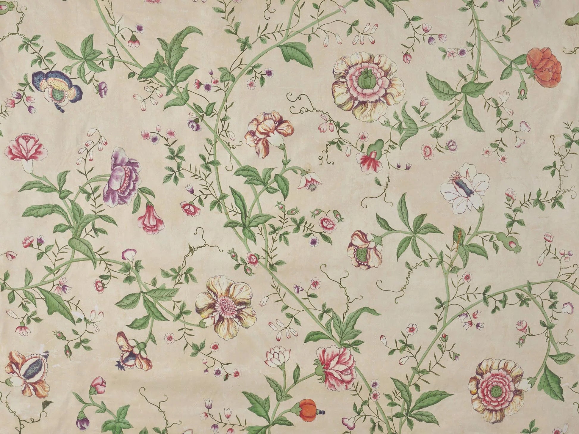 Pierre Frey Le Paravent Chinois Chintz - Tilleul