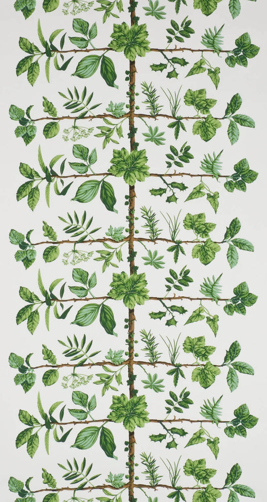 Pierre Frey Wallpaper Espalier - Prairie