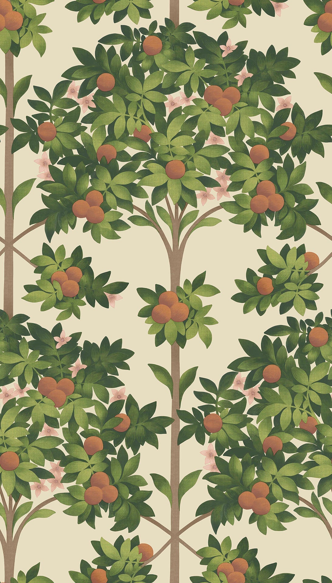Cole & Son Orange Blossom wallpaper - Orange & Spring Green on Parchment