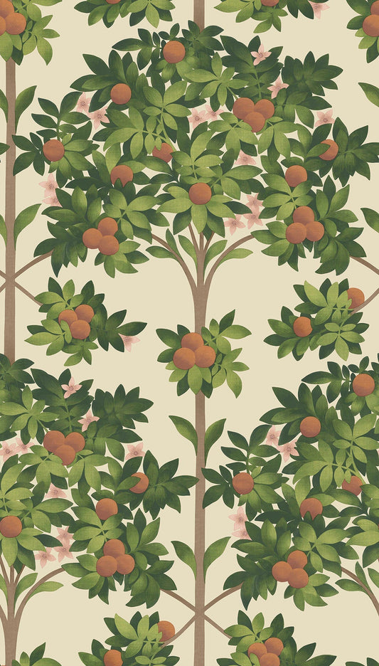 Cole & Son Orange Blossom wallpaper - Orange & Spring Green on Parchment