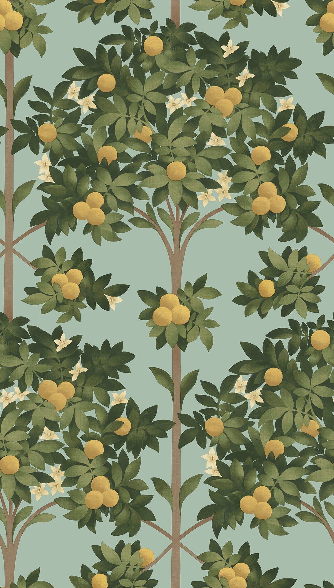 Cole & Son Orange Blossom - Lemon & Dark Olive Green on Duck Egg