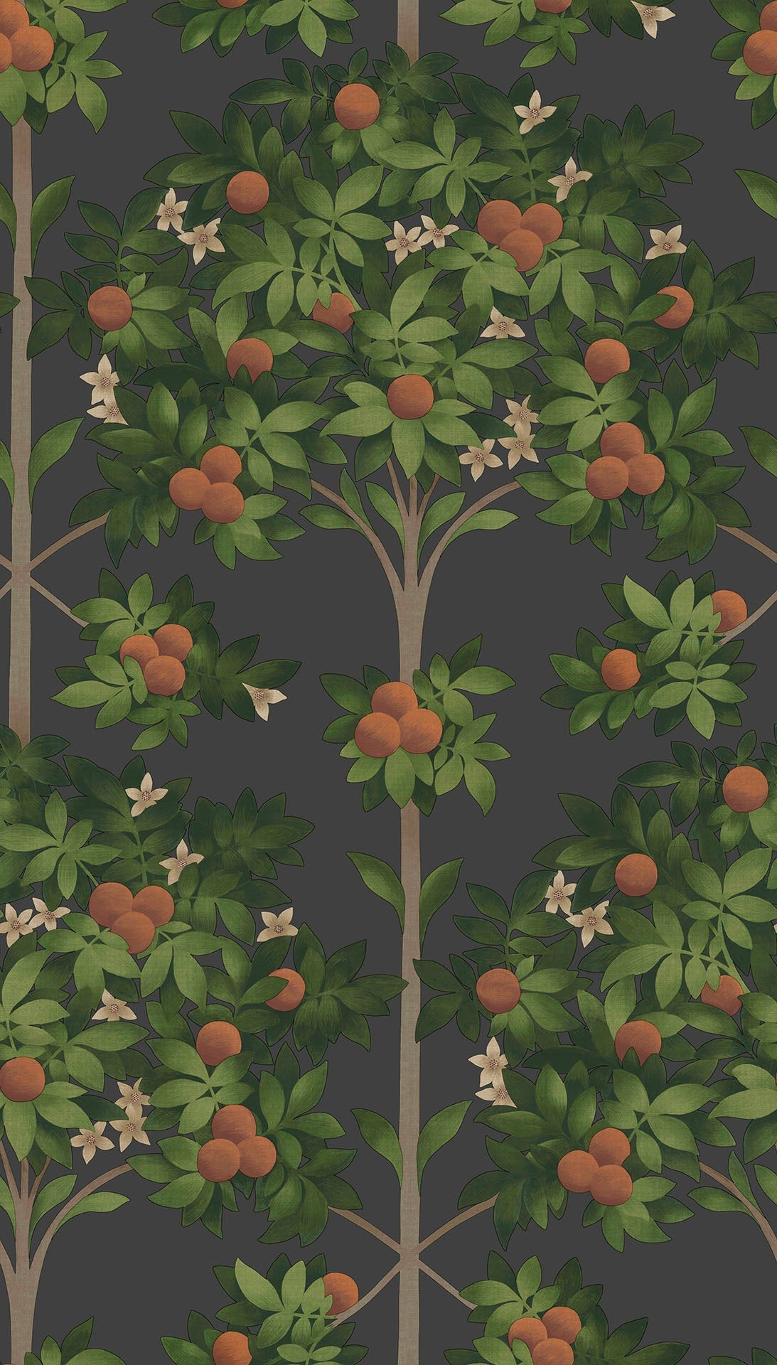 Cole & Son Orange Blossom - Orange & Spring Green on Black