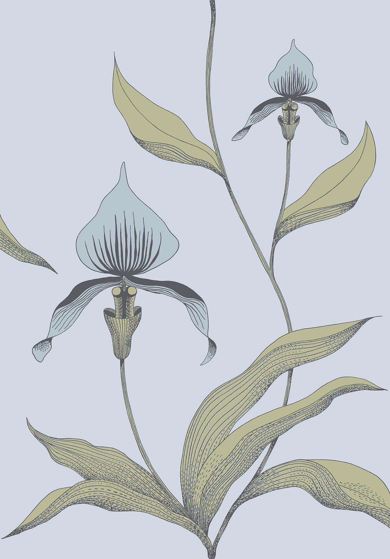 Cole & Son Orchid - Ice Blue & Old Olive on Powder Blue