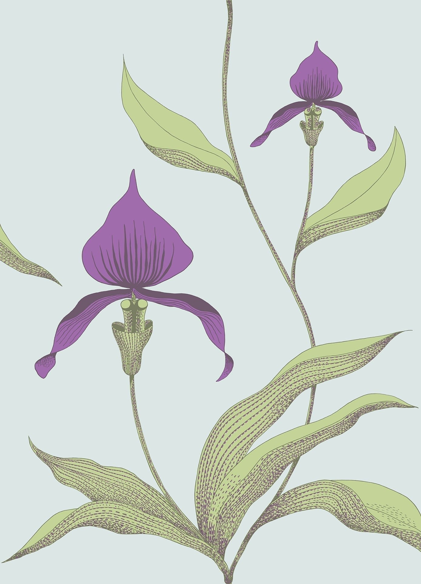 Cole & Son Orchid - Purple & Leaf Green on Seafoam