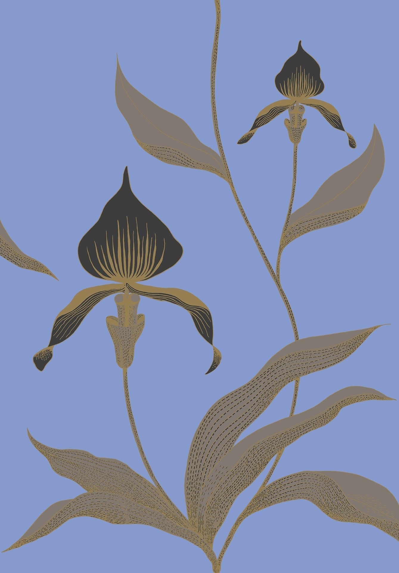 Cole & Son Orchid - Charcoal, Taupe & Metallic Gold on Hyacinth Blue
