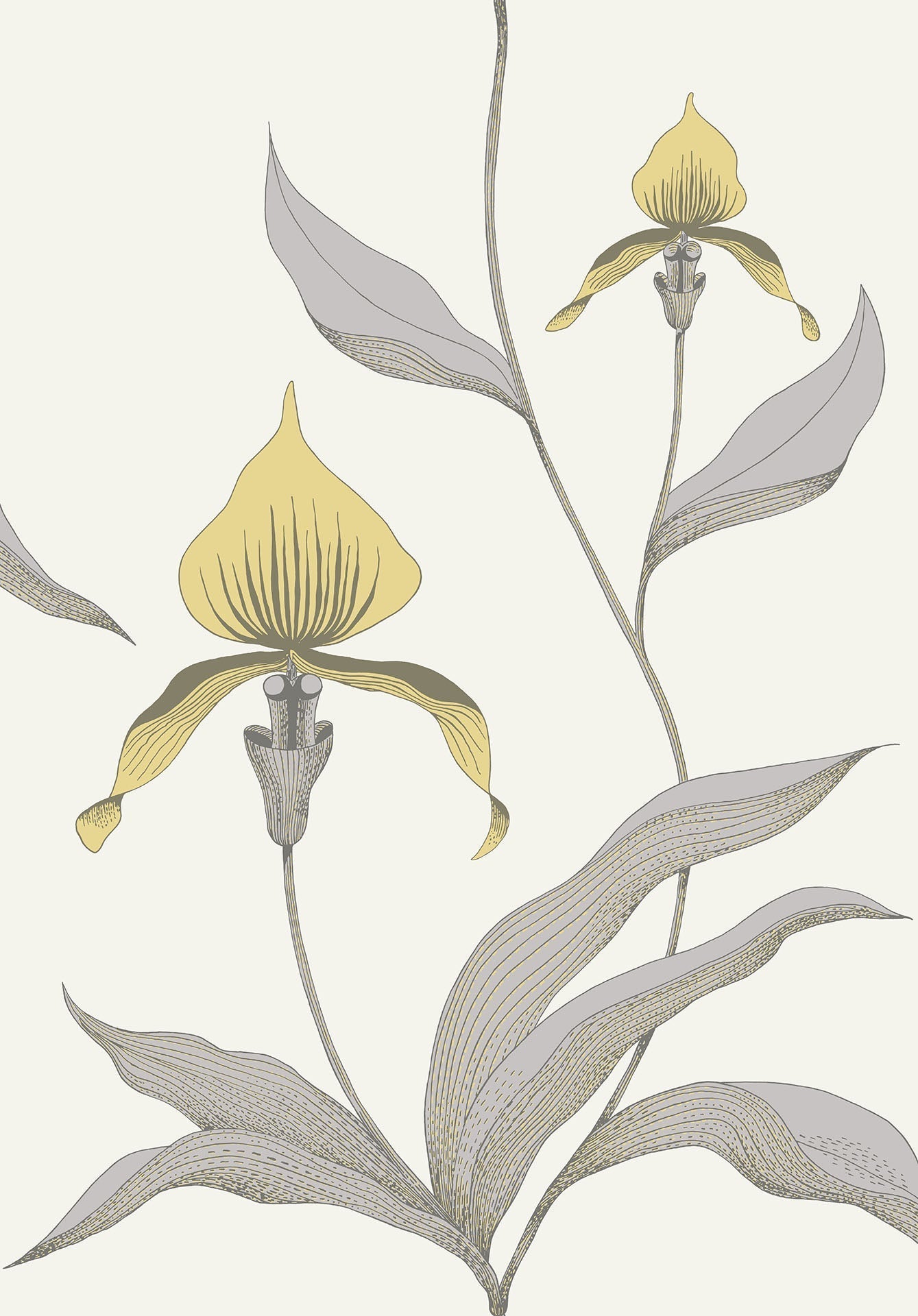 Cole & Son Orchid - Lemon & Heath Grey on Chalk