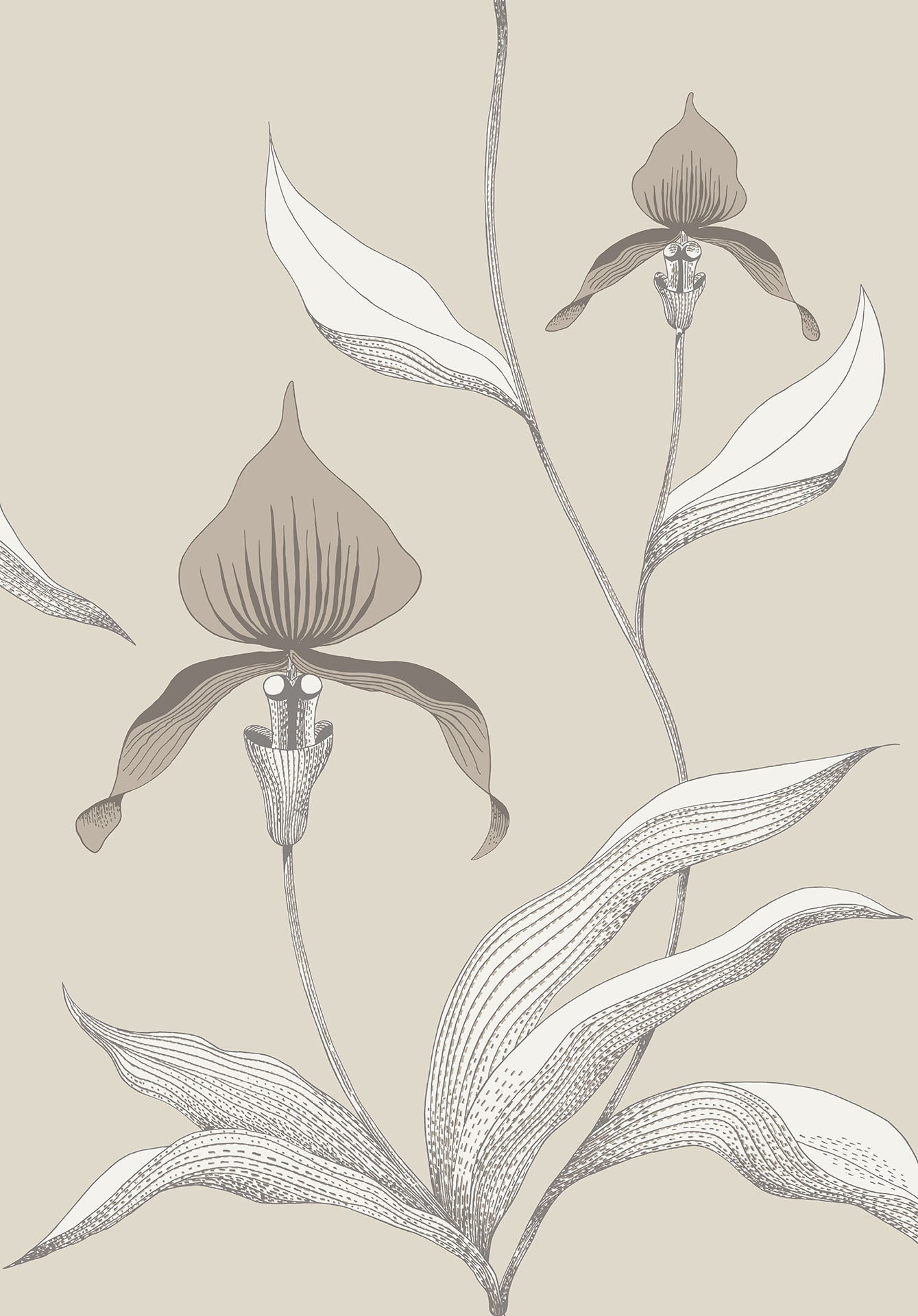 Cole & Son Orchid - Taupe & Parchment on Linen