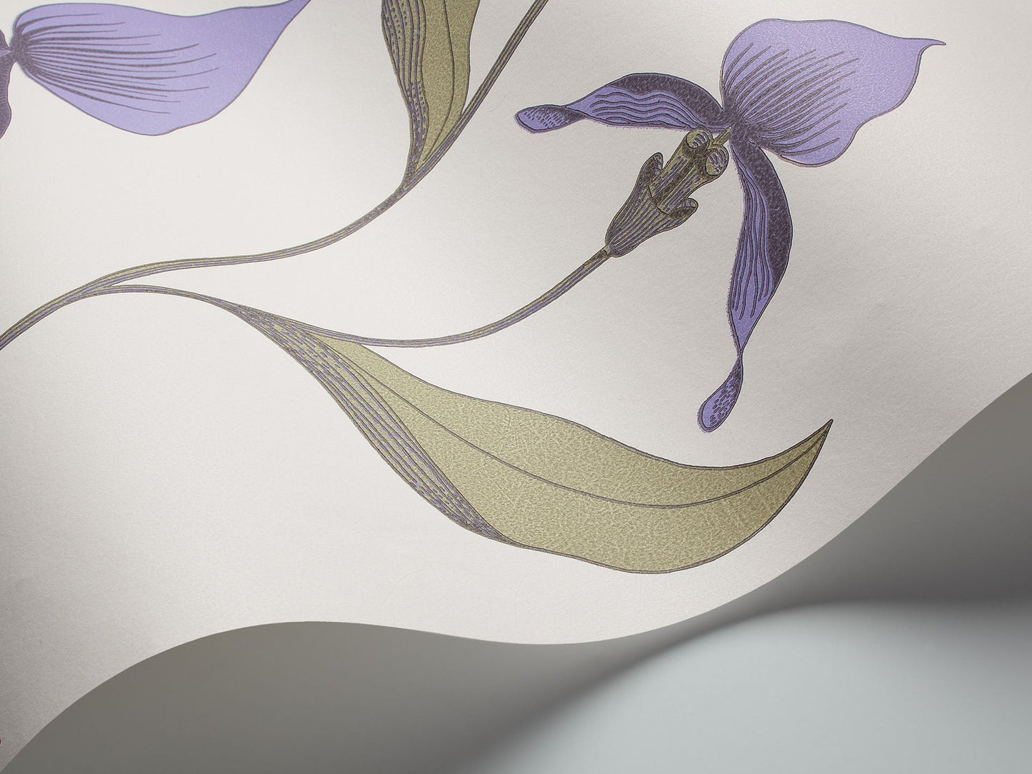 Cole & Son Orchid - interior