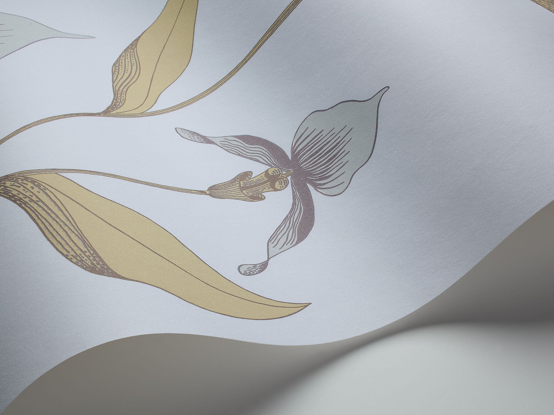 Cole & Son Orchid - interior