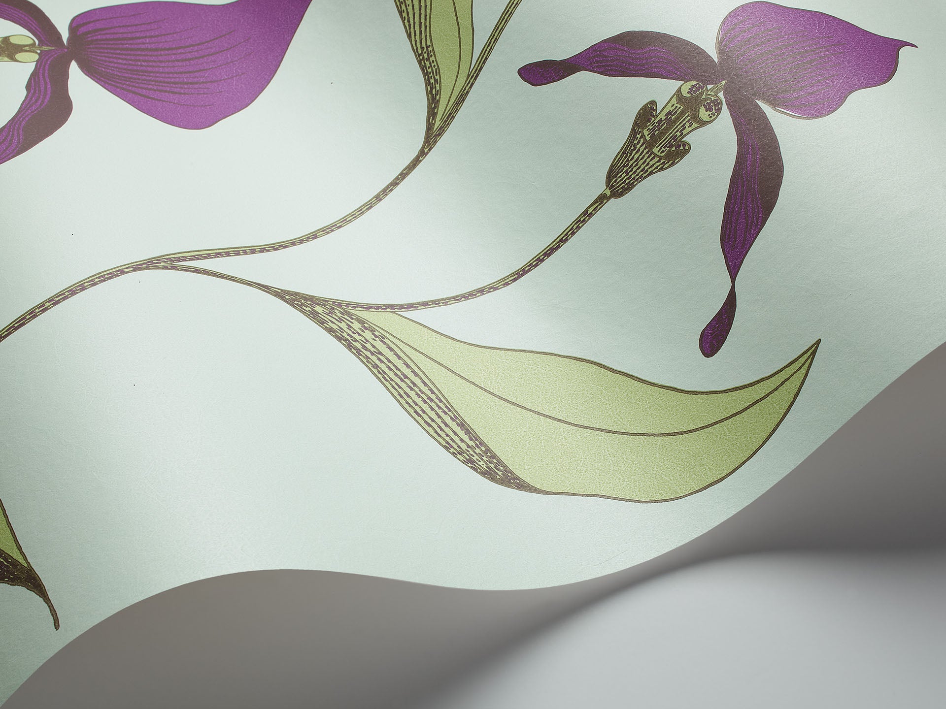 Cole & Son Orchid - interior