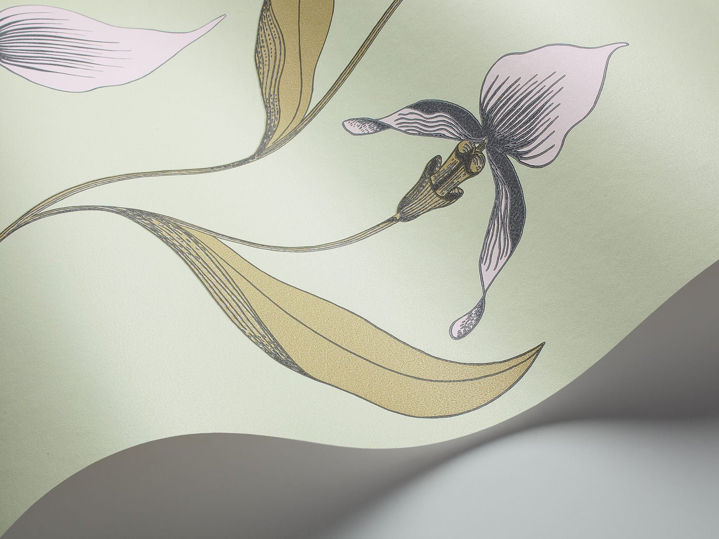 Cole & Son Orchid - interior