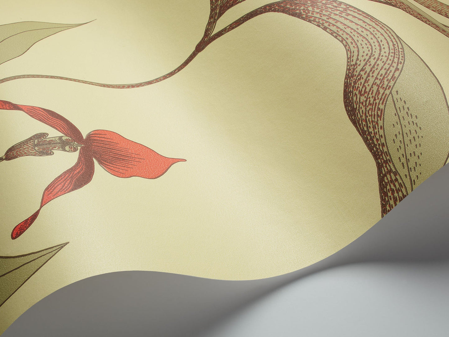 Cole & Son Orchid - interior
