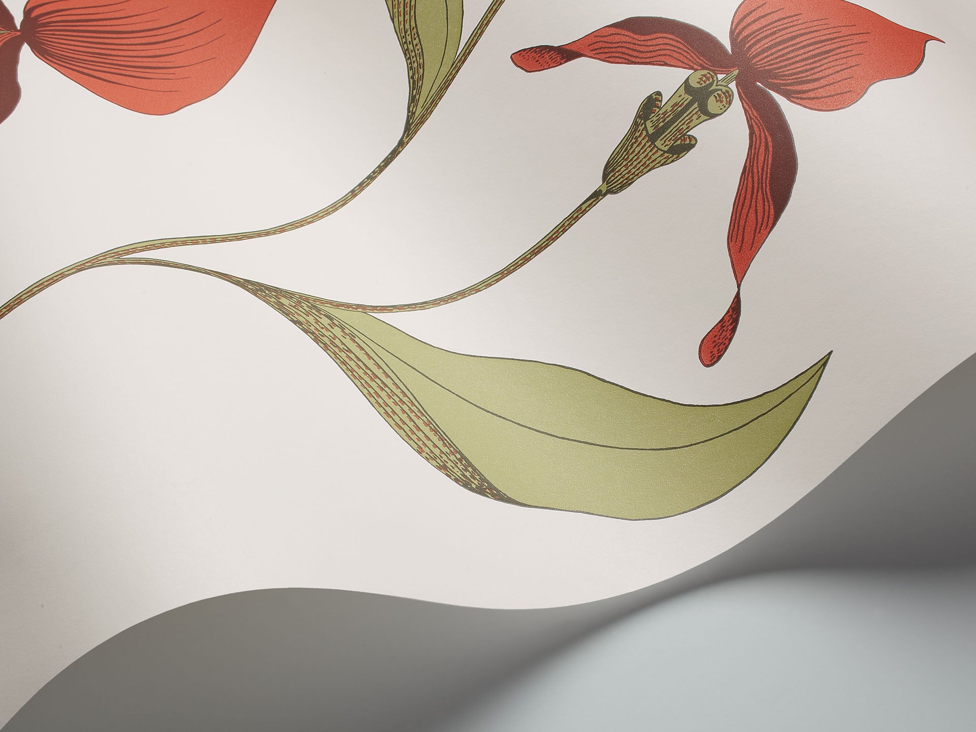Cole & Son Orchid - interior